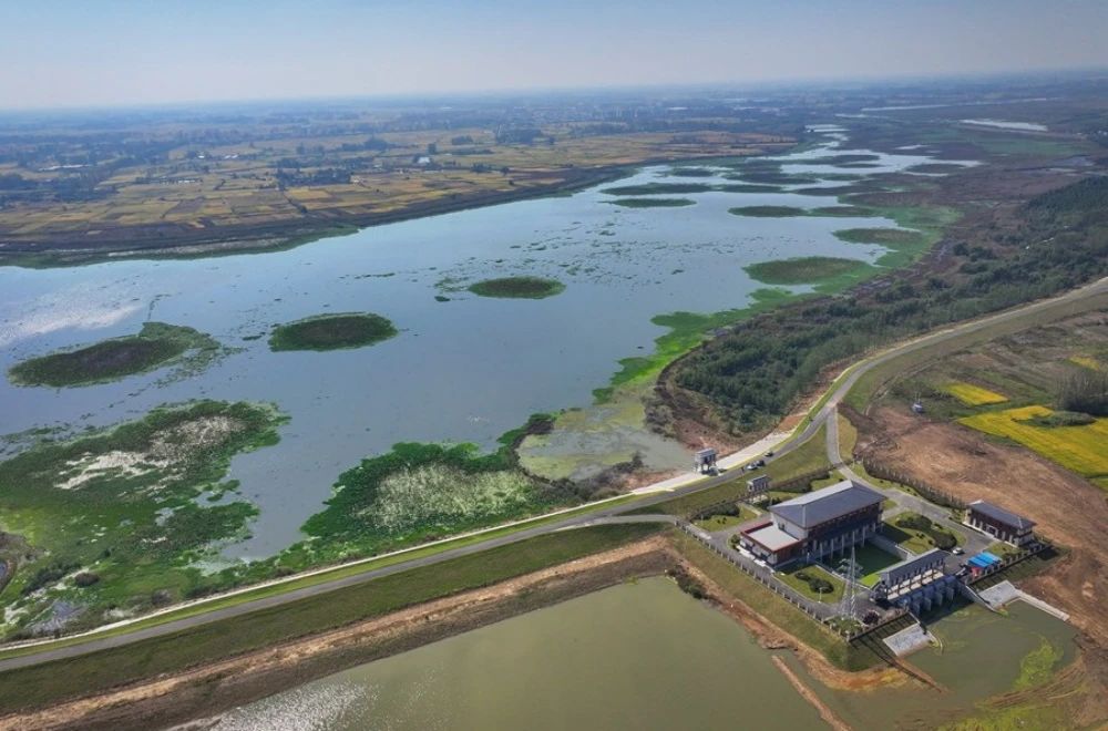 1745199007448821.jpg 2.jpg